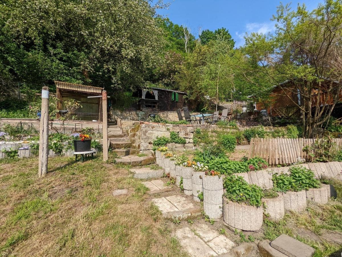 Urlaubsmagie - 5 Fussminuten Zur Elbe, Garten, Pool - R2 Rathmannsdorf Luaran gambar